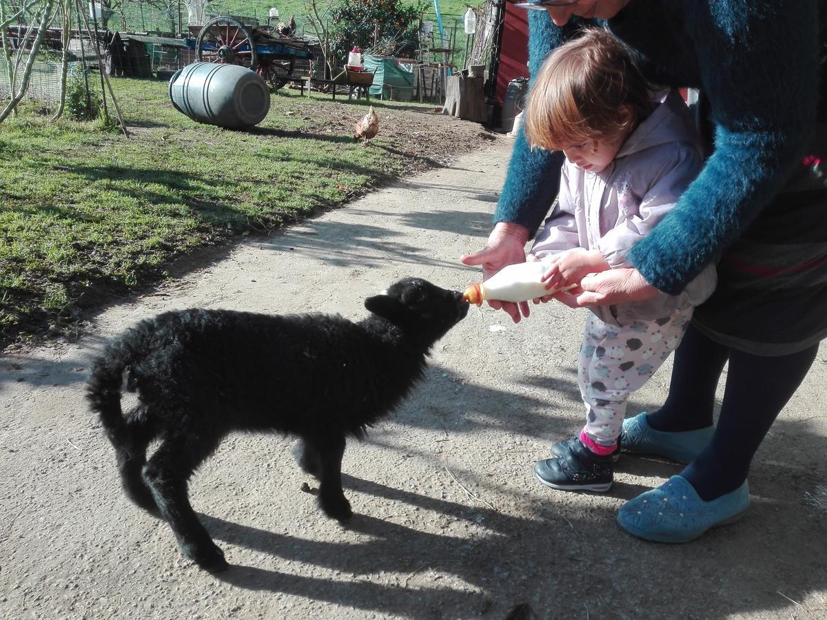 Agroturismo La Casona De Belmonte Ovinana  외부 사진
