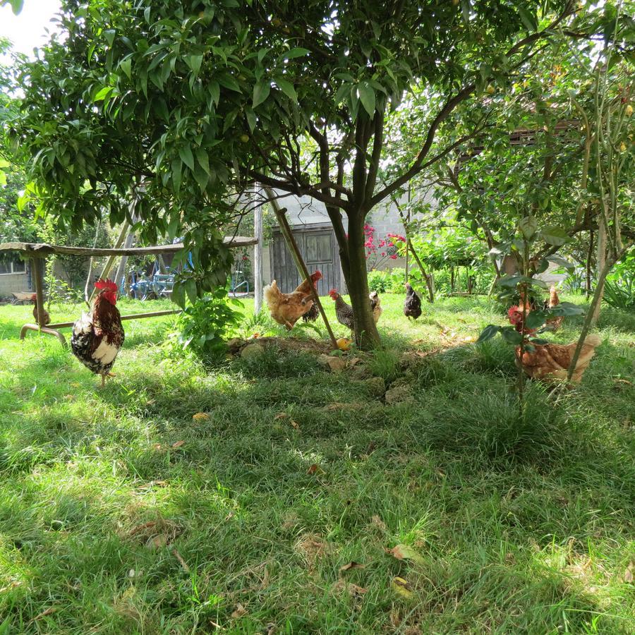Agroturismo La Casona De Belmonte Ovinana  외부 사진