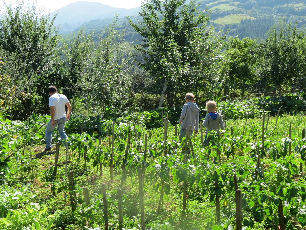 Agroturismo La Casona De Belmonte Ovinana  외부 사진